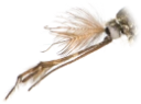 Stikkmygg: Culex.
