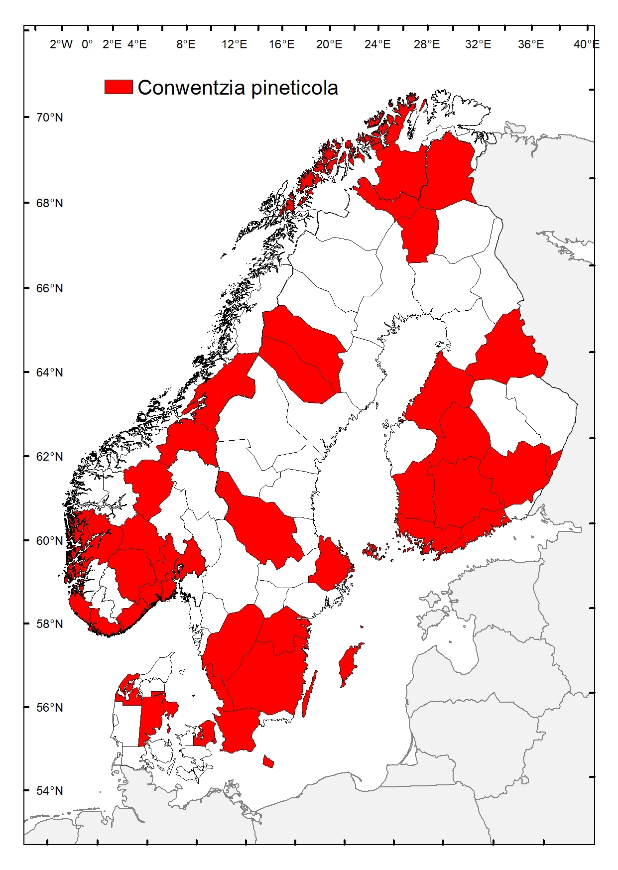 Furuvoksvinge.