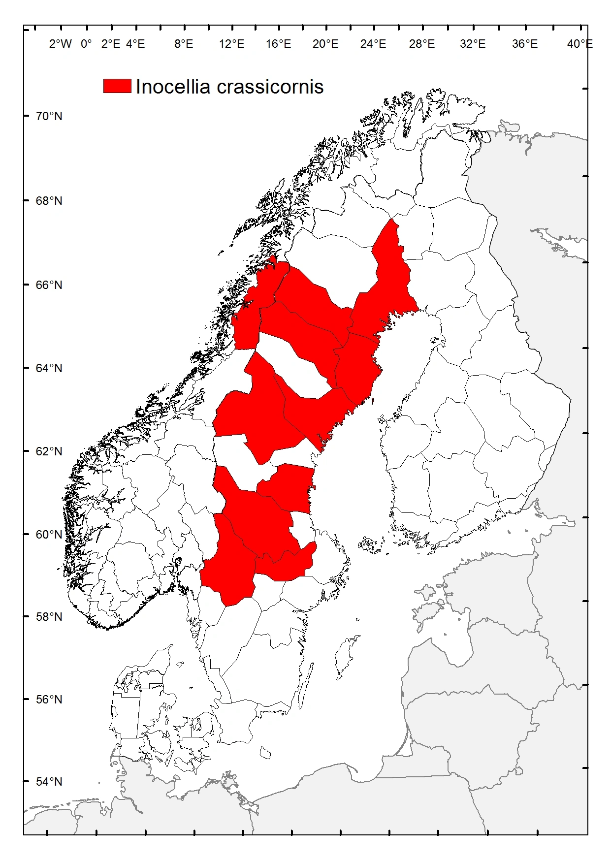 Bredhodekamelhalsflue.