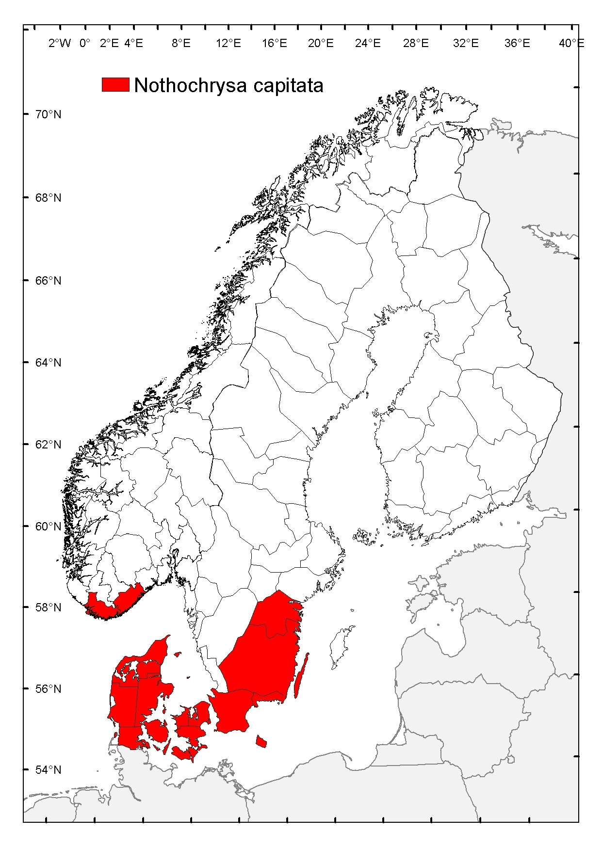 Rustgulløye.