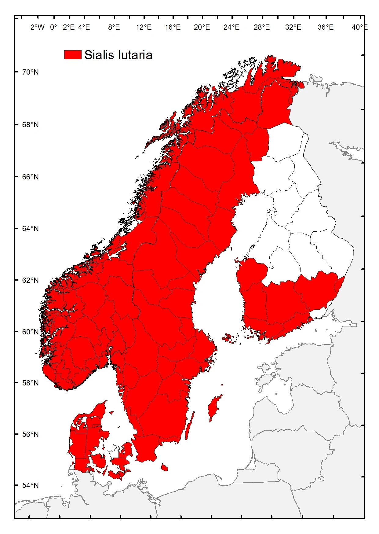 Gjørmemudderflue.