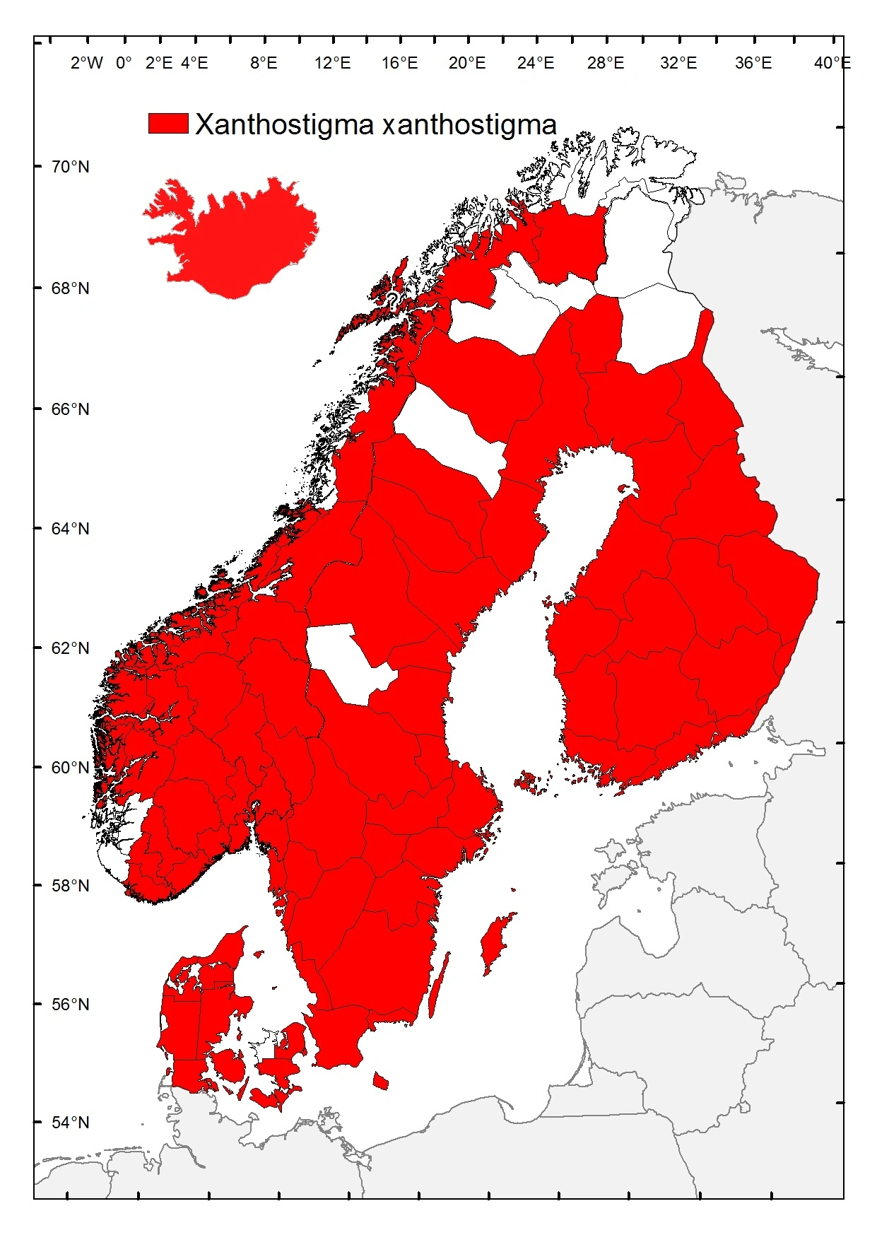 Gulflekkamelhalsflue.