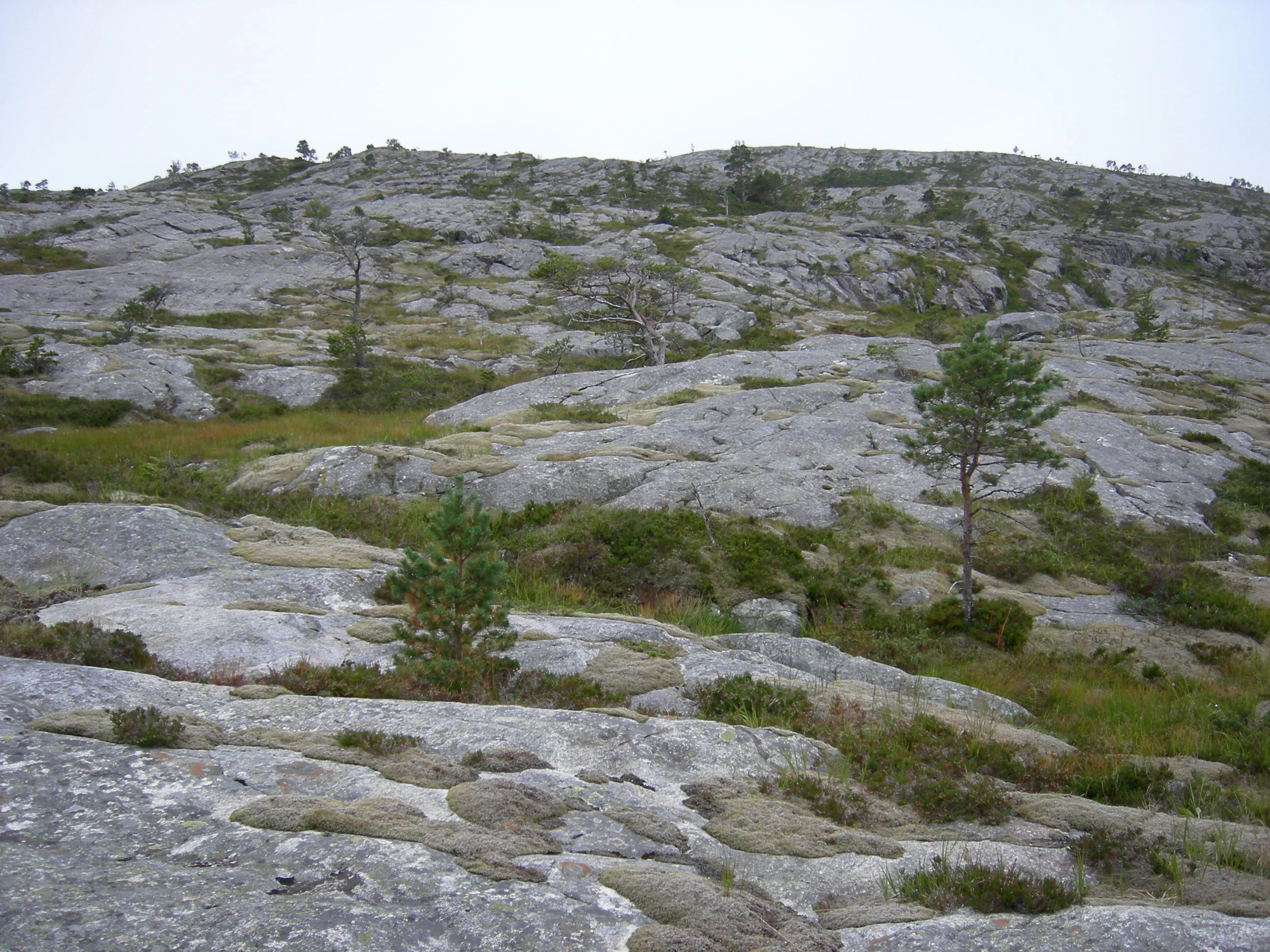 T1-C-2 uttørkingseksponerte svært og temmelig kalkfattige berg, bergvegger og knauser. Heigråmose.