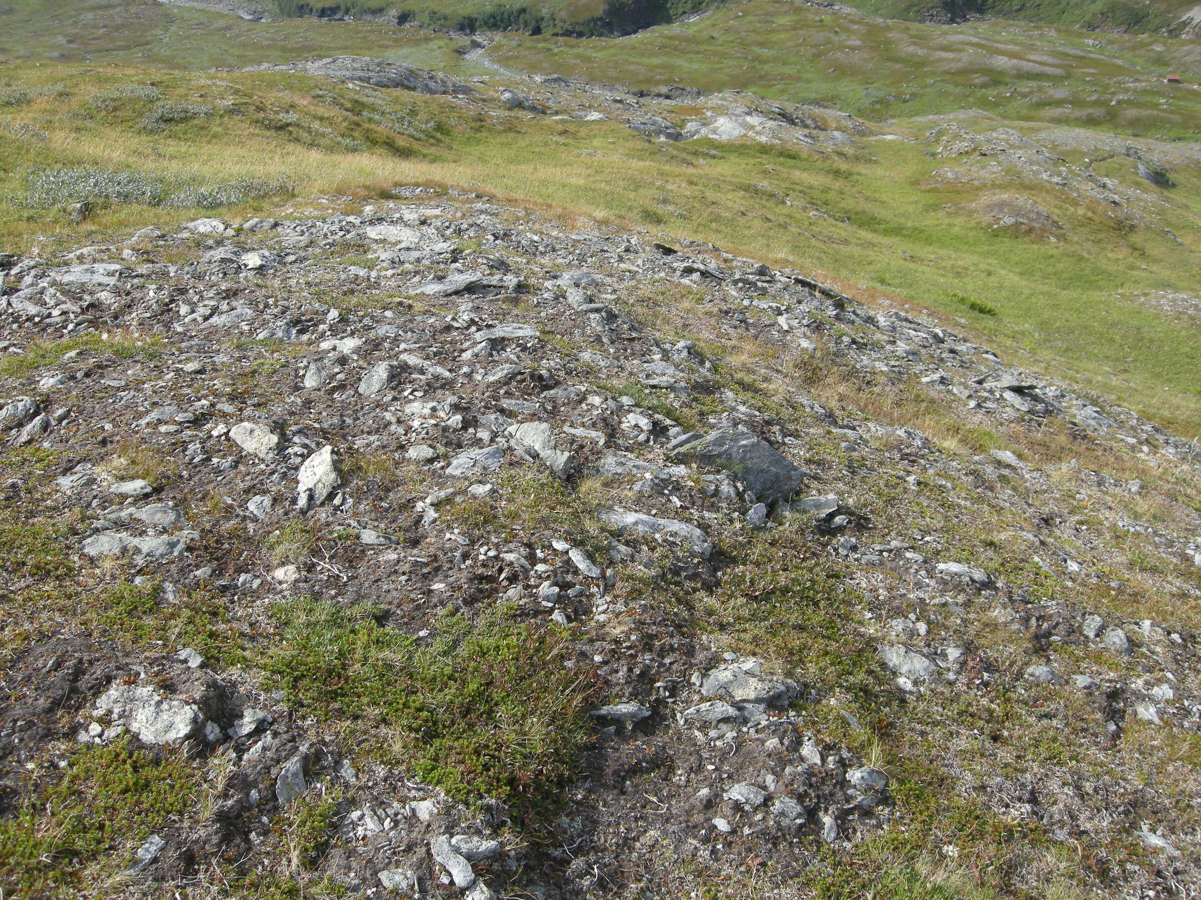 T3-C-8 svakt kalkrik fjell-lynghei.