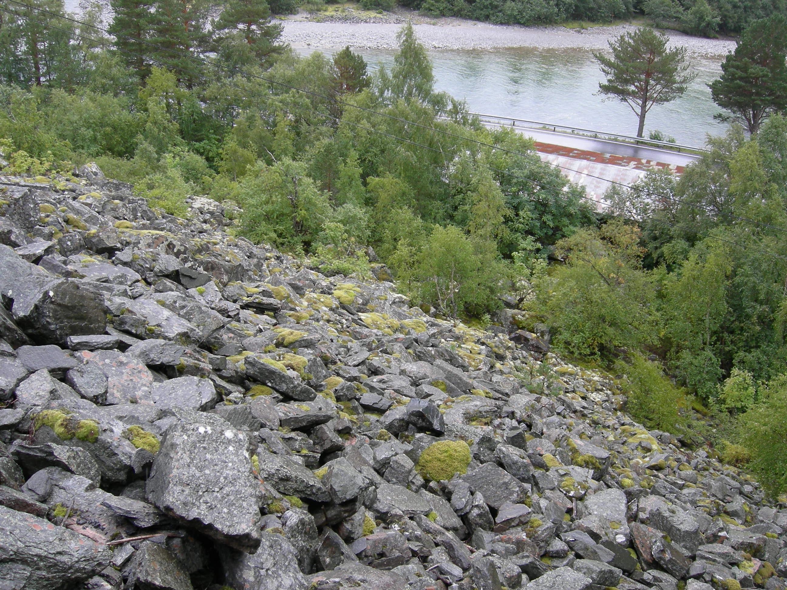 T13-C-4 intermediær og svakt kalkrik grov ur.