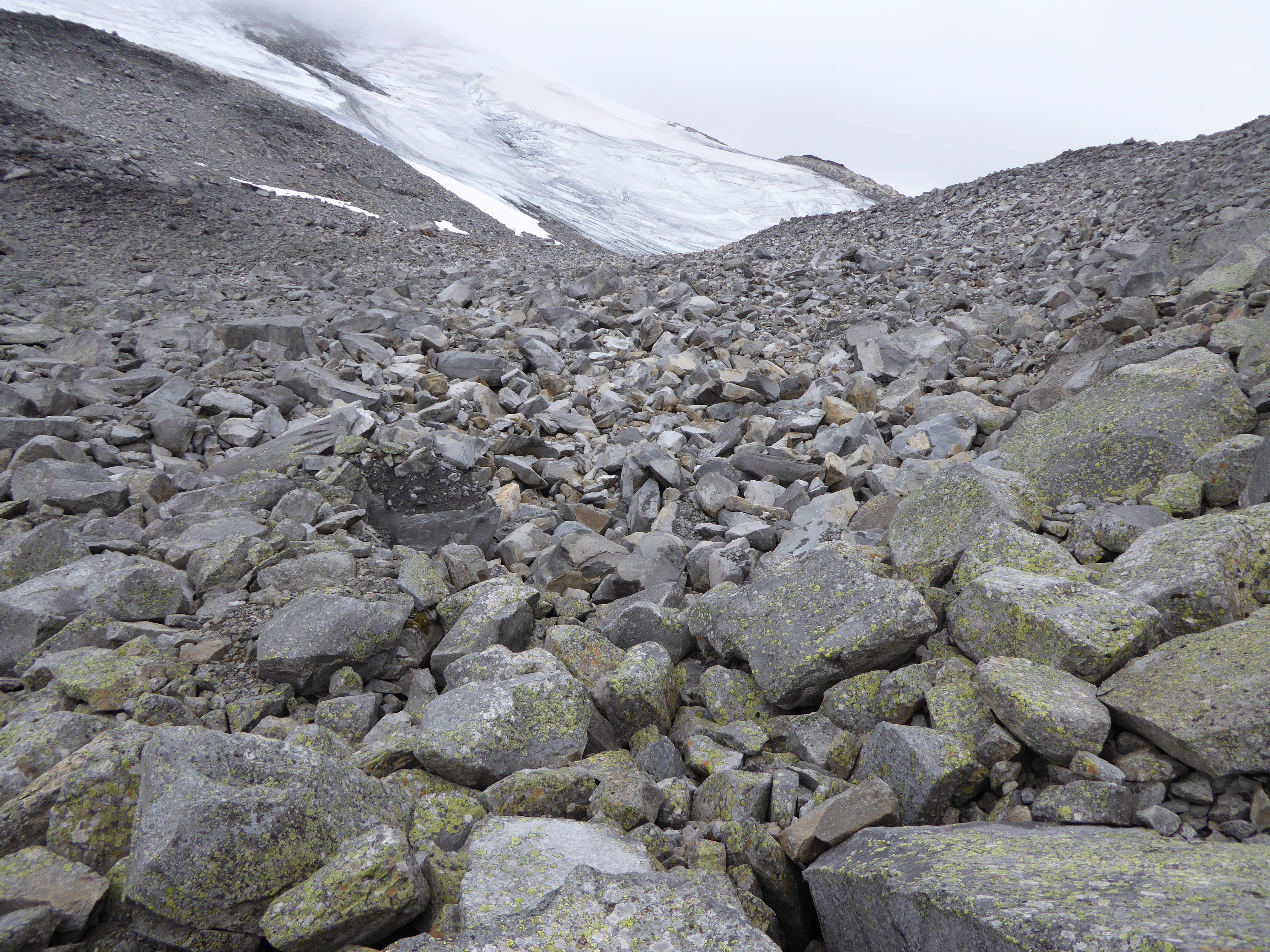 T27-C-2 kalkfattig og intermediær snøleie-blokkmark.