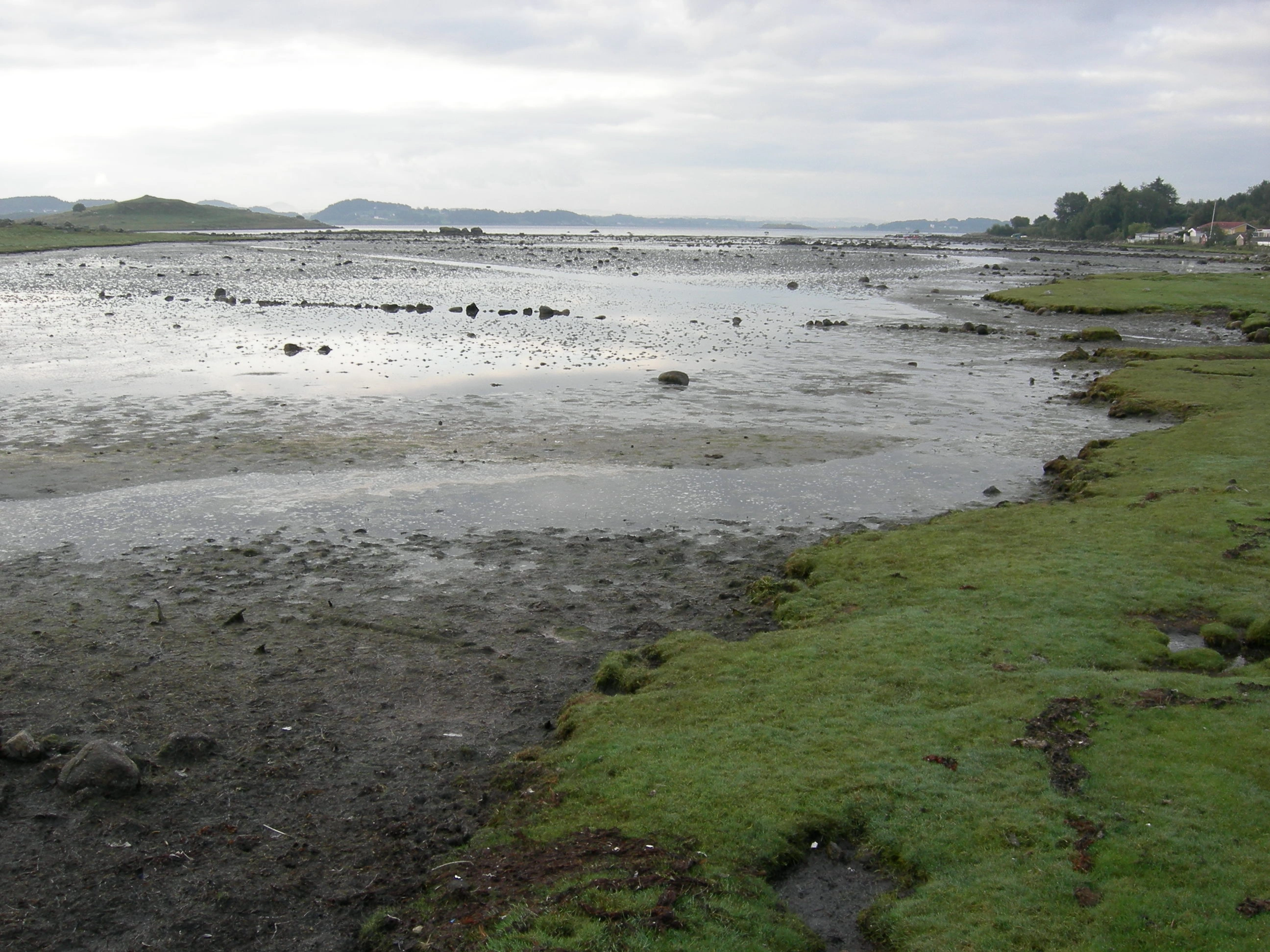 T33-C-1 nedre semi-naturlig strandeng.