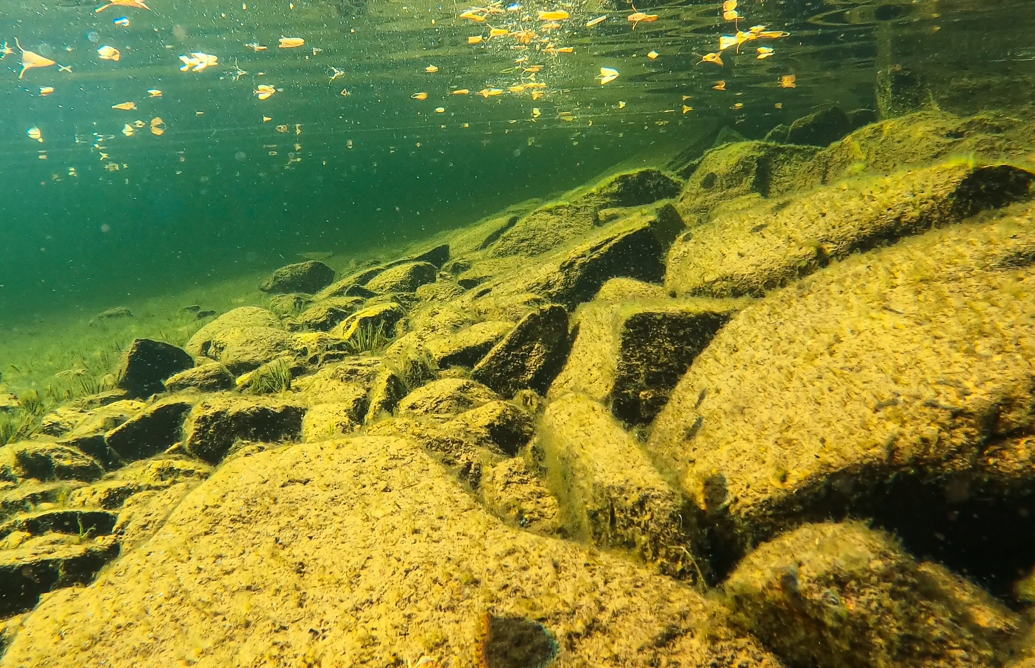 L1-C-3 Svært kalkfattig beskyttet grunn fast innsjøbunn. L1 Eufotisk fast innsjøbunn.