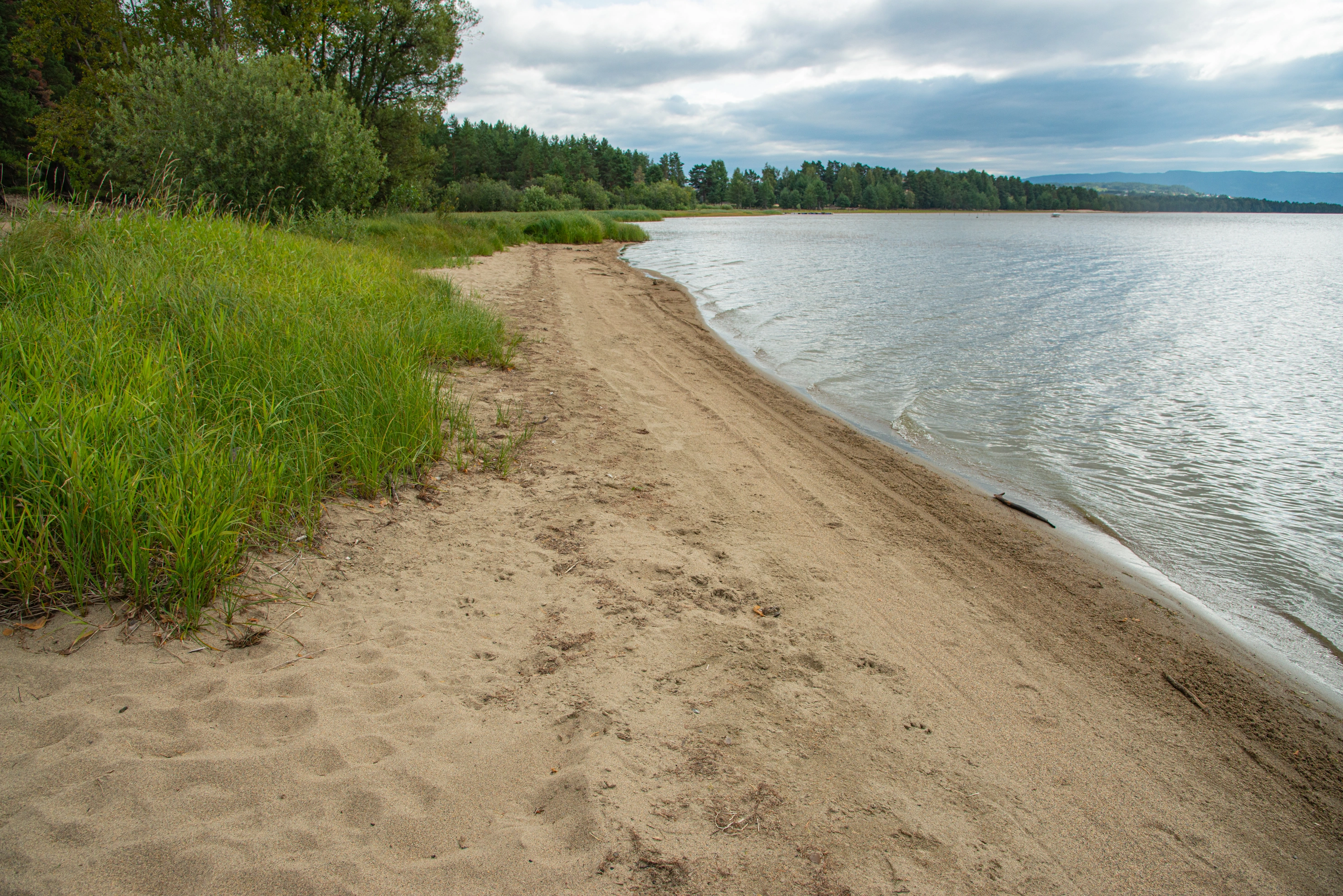 L2-C-9 Moderat kalkrik fin innsjø-sedimentbunn i strandkant. L2 Eufotisk innsjø-sedimentbunn.