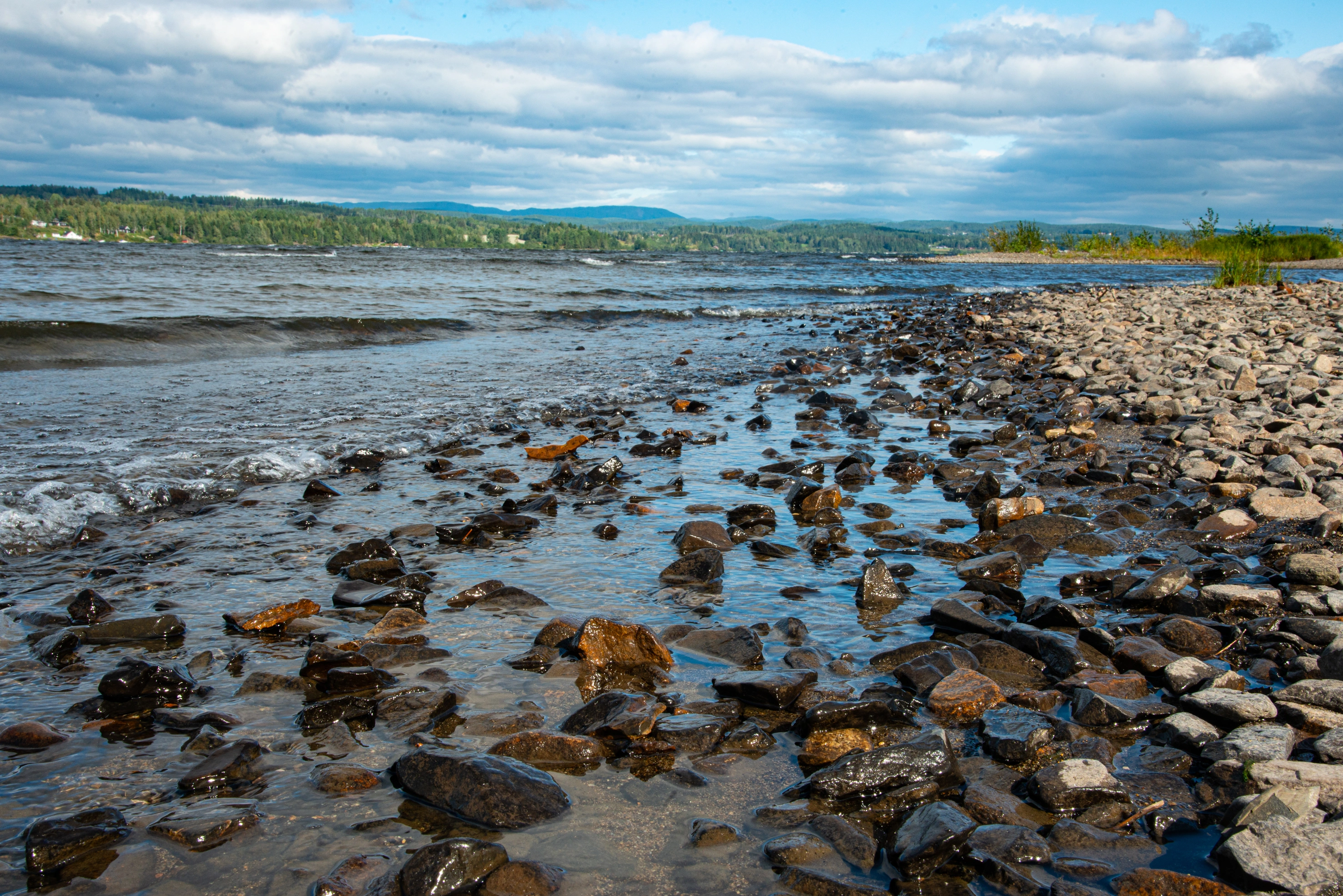 L2-C-13 Moderat kalkrik grov innsjø-sedimentbunn i strandkant. L2 Eufotisk innsjø-sedimentbunn.