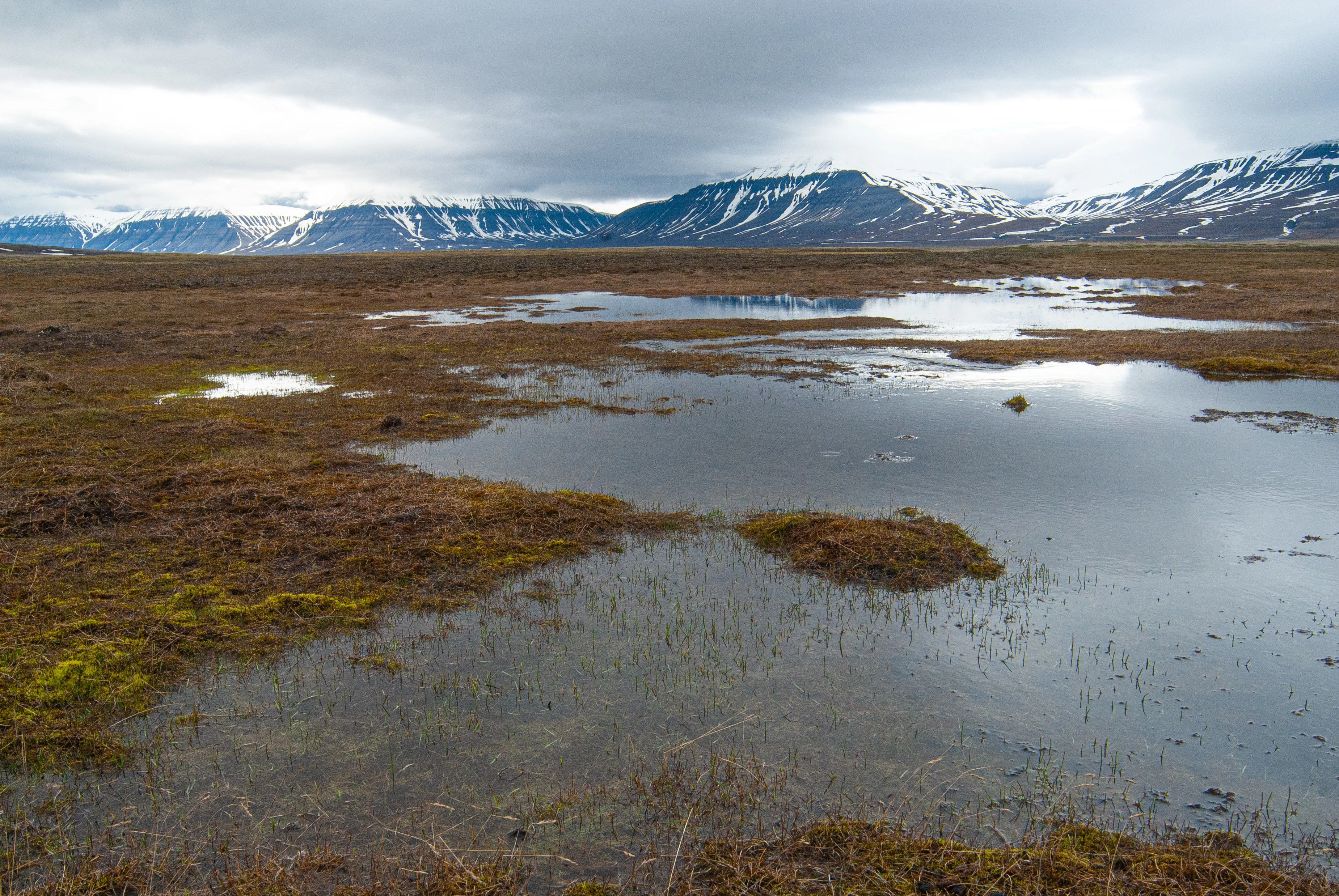 L10-C-1 Arktisk permafrost-innsjøbunn. L10 Arktisk permafrost-innsjøbunn.