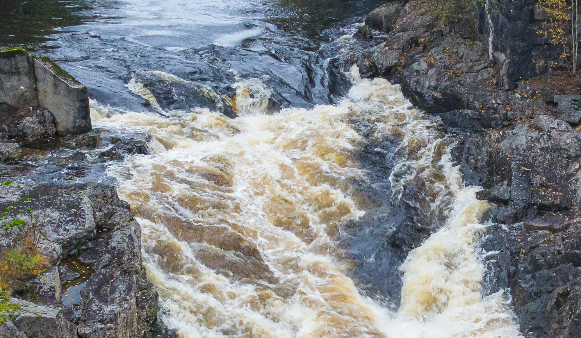 O1-C-12 Kalkrik fastbunn i humøs elv med stryk. O1 Fast elvebunn.