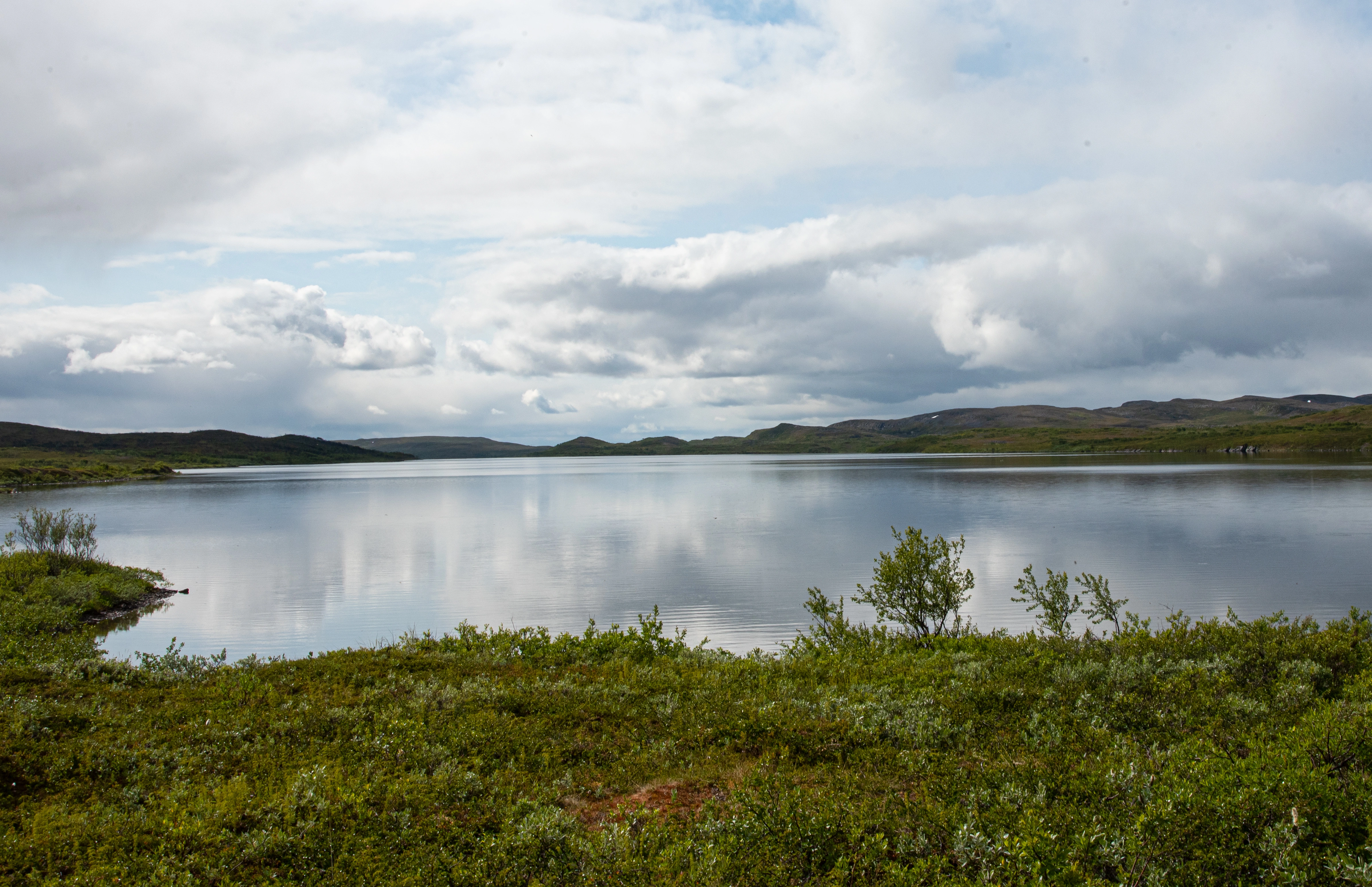 F2-C-3 Noe kalkfattige og klare grunne vannmasser med enkelt fiskesamfunn. F2 Ikke-lagdelte (polymiktiske) vannmasser med fiskesamfunn.